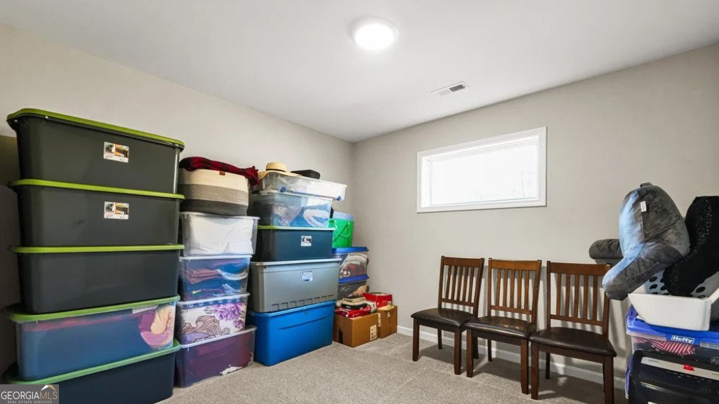 435 Paynes Lake Road Carrollton - Photo 30