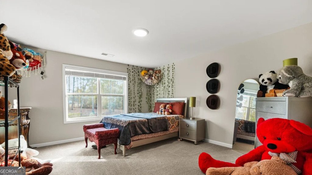 435 Paynes Lake Road Carrollton - Photo 33