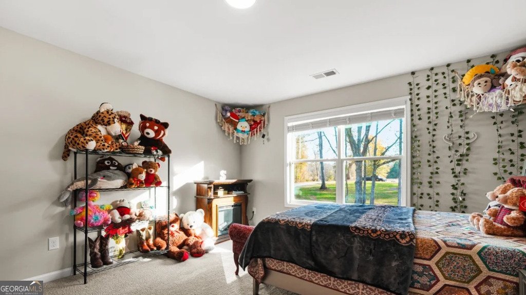 435 Paynes Lake Road Carrollton - Photo 34