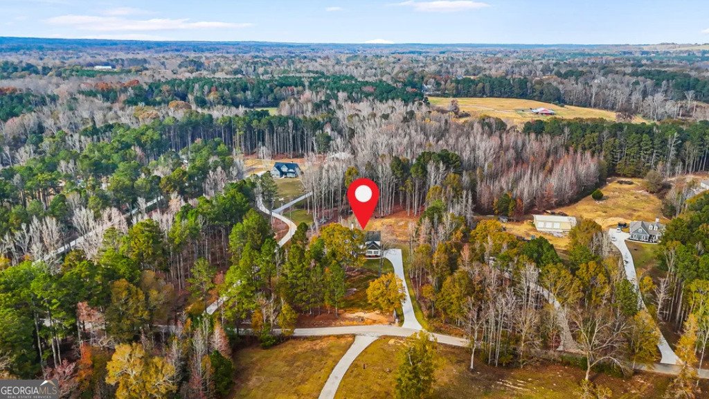 435 Paynes Lake Road Carrollton - Photo 42