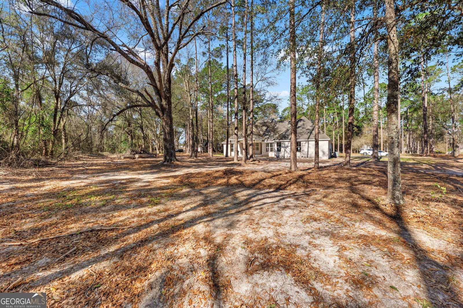 6254 Bluebird Drive Blackshear - Photo 28