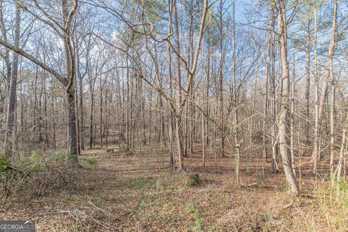 3300 Union Church Road Stockbridge - Photo 32