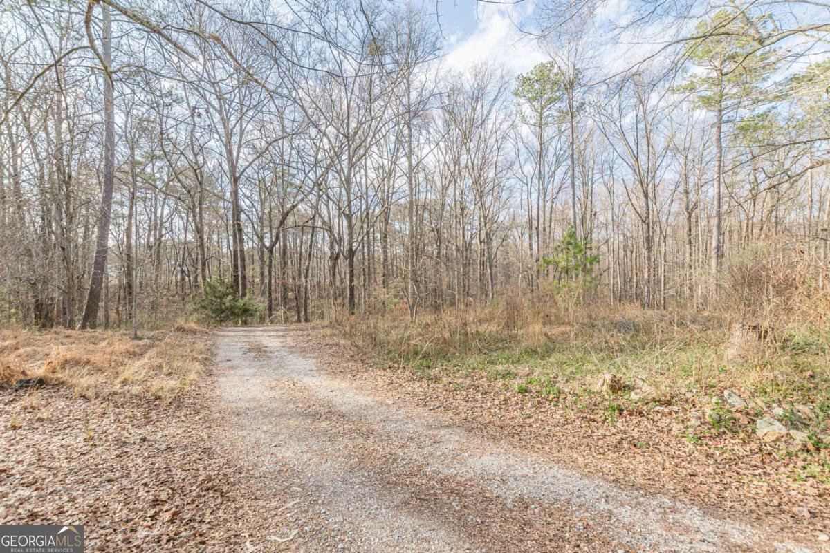 3300 Union Church Road Stockbridge - Photo 39