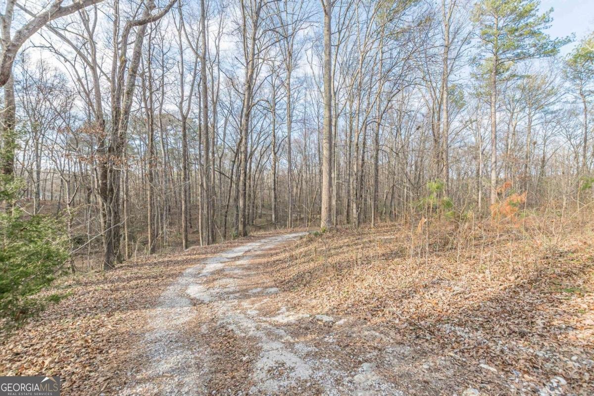 3300 Union Church Road Stockbridge - Photo 40