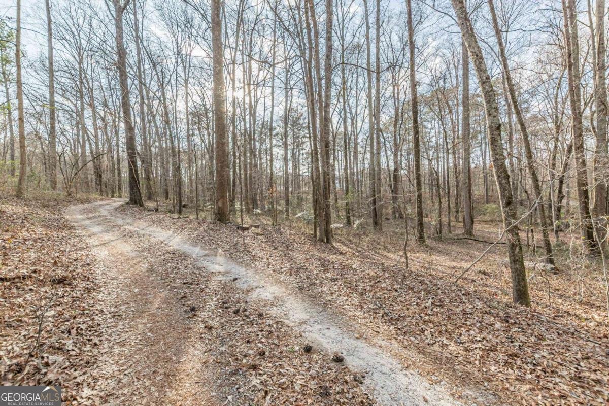 3300 Union Church Road Stockbridge - Photo 42