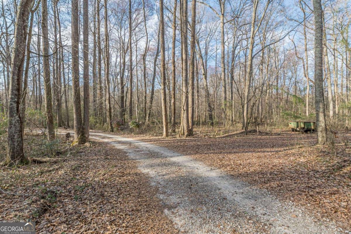 3300 Union Church Road Stockbridge - Photo 43