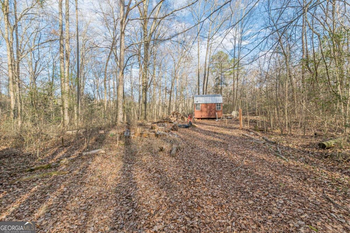 3300 Union Church Road Stockbridge - Photo 44