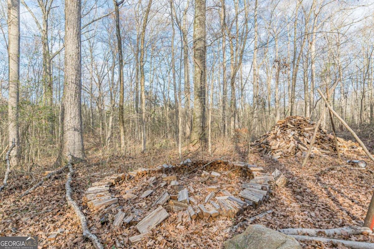 3300 Union Church Road Stockbridge - Photo 46