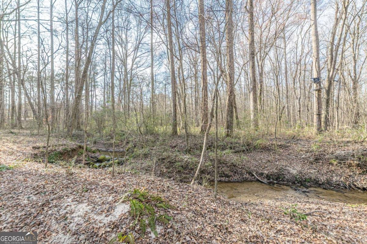 3300 Union Church Road Stockbridge - Photo 47