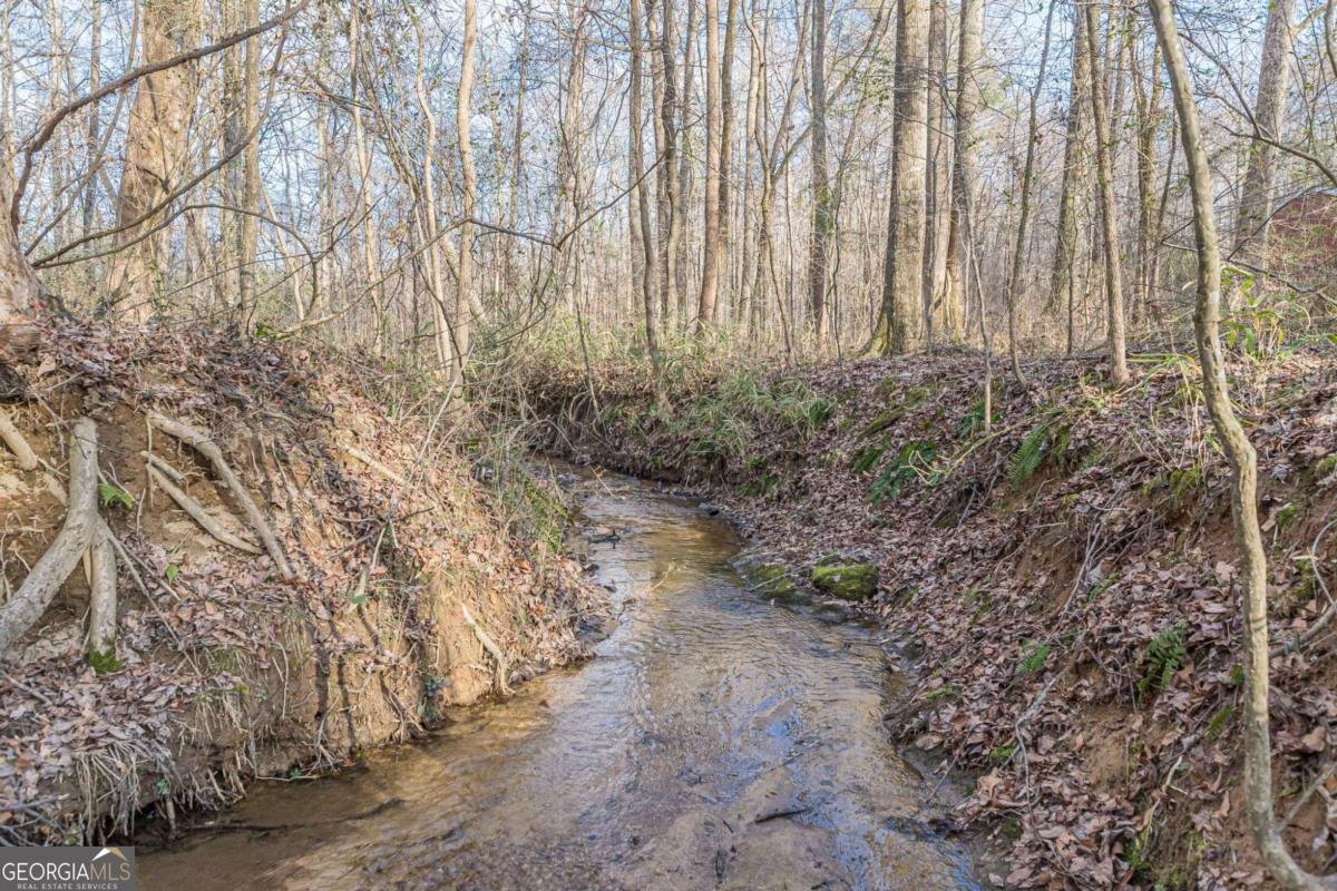 3300 Union Church Road Stockbridge - Photo 48