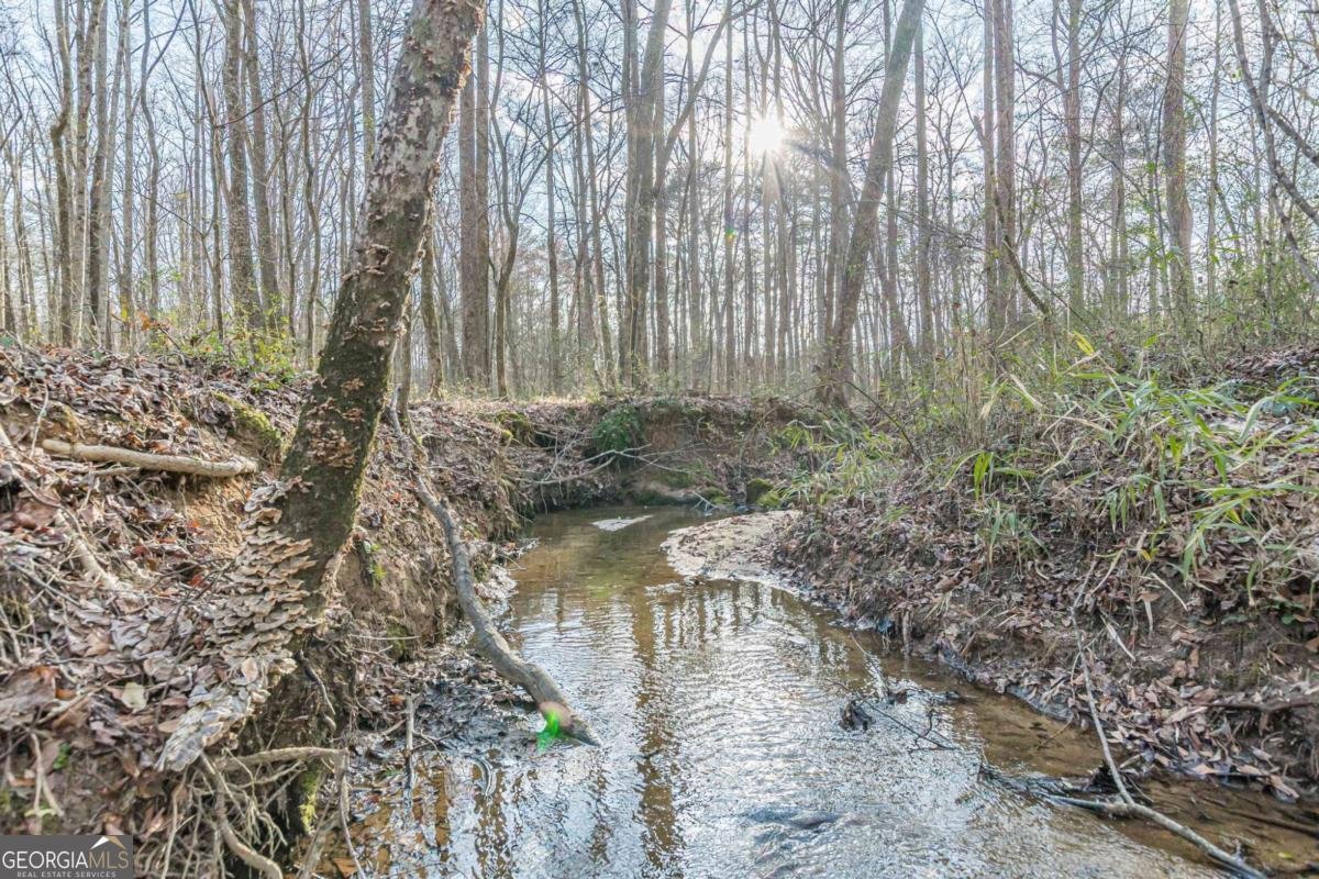 3300 Union Church Road Stockbridge - Photo 49