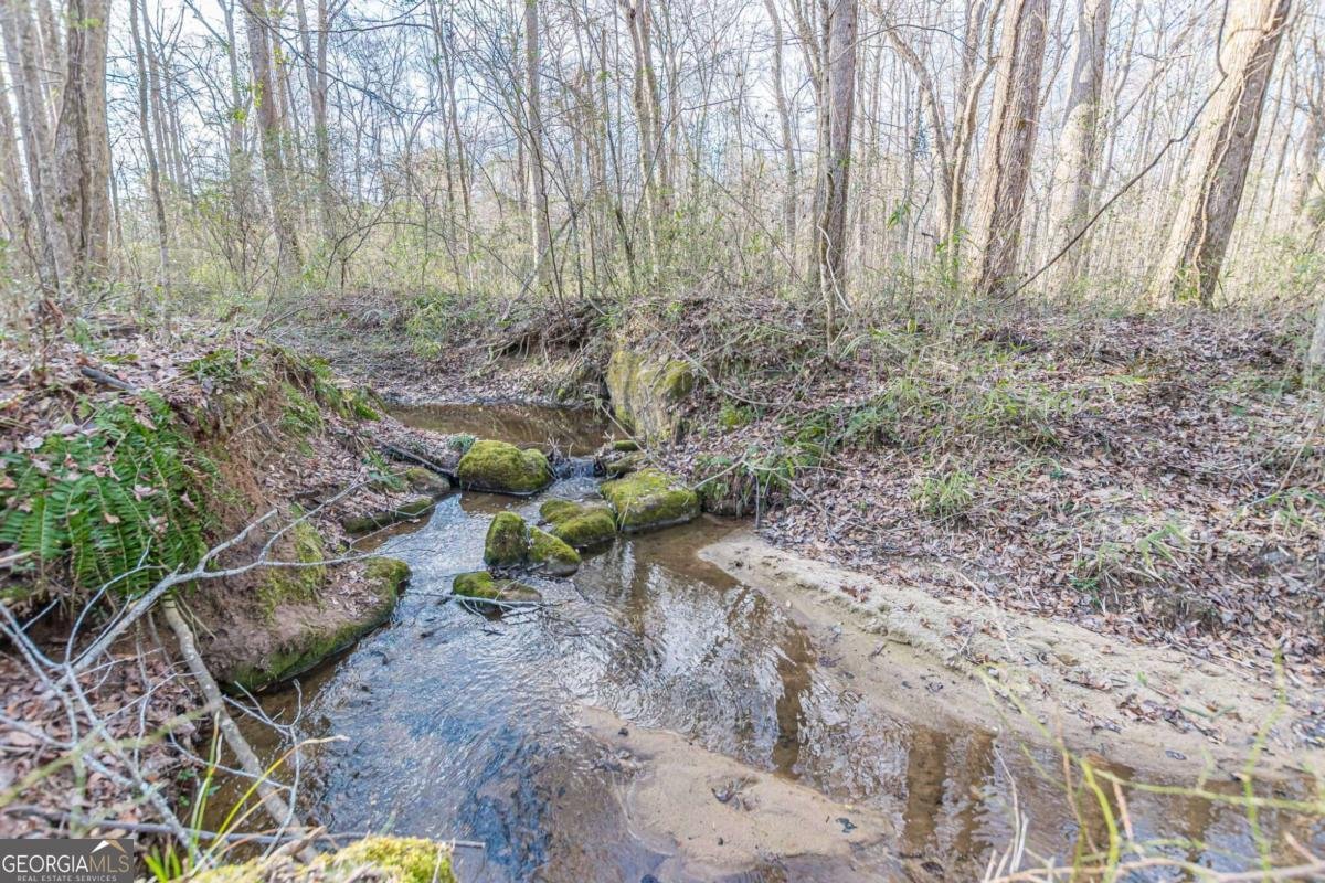 3300 Union Church Road Stockbridge - Photo 50