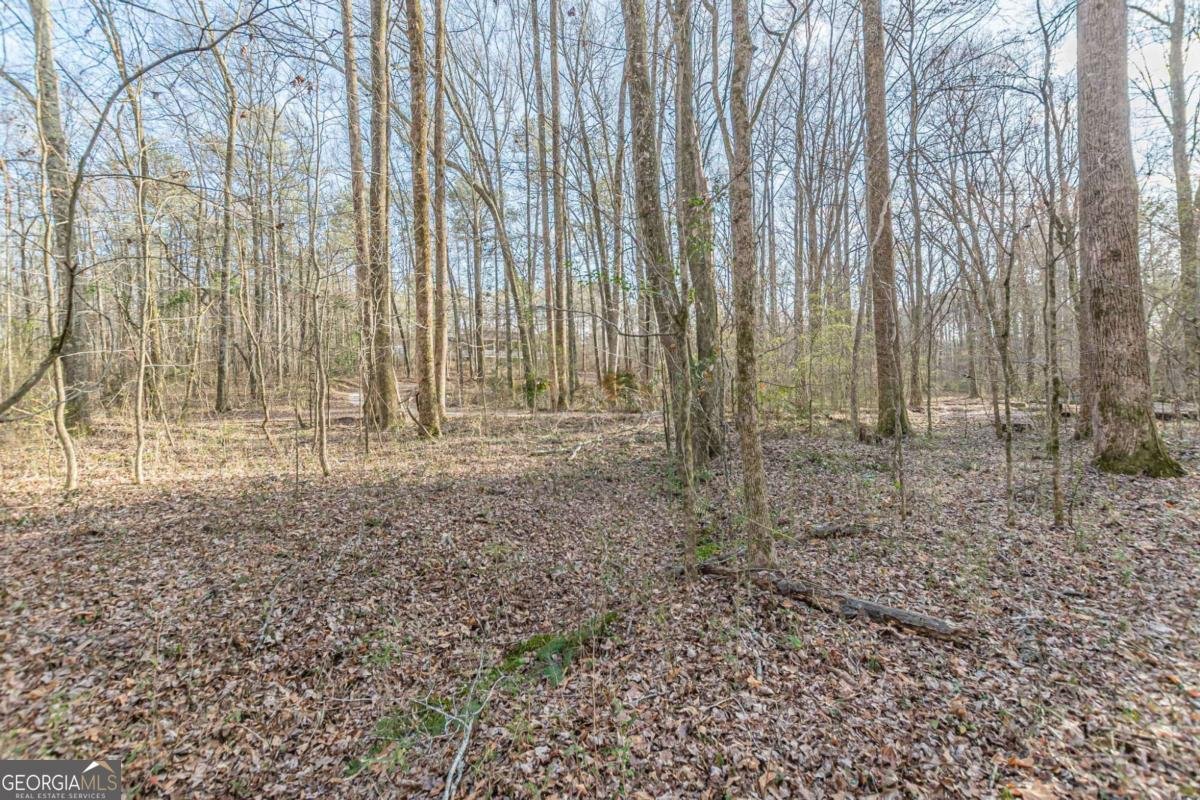 3300 Union Church Road Stockbridge - Photo 51