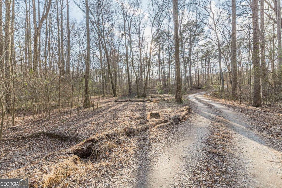 3300 Union Church Road Stockbridge - Photo 52