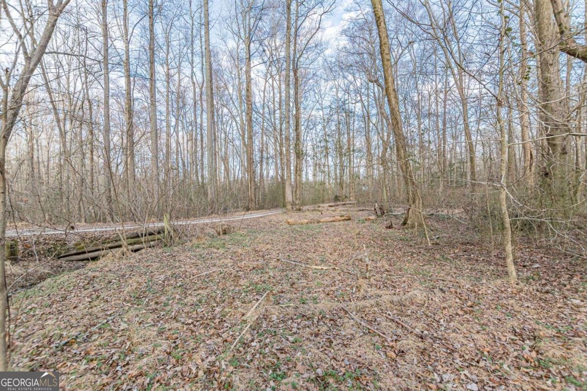 3300 Union Church Road Stockbridge - Photo 54