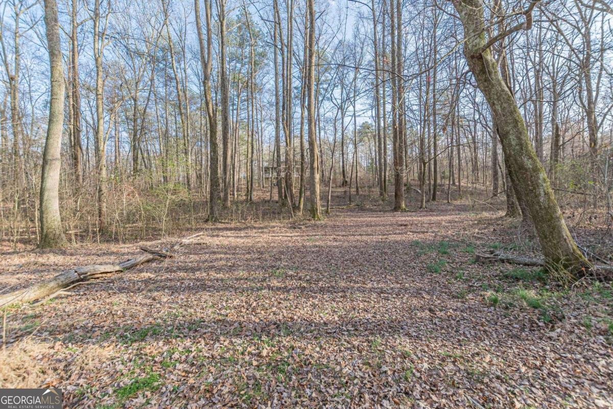 3300 Union Church Road Stockbridge - Photo 55