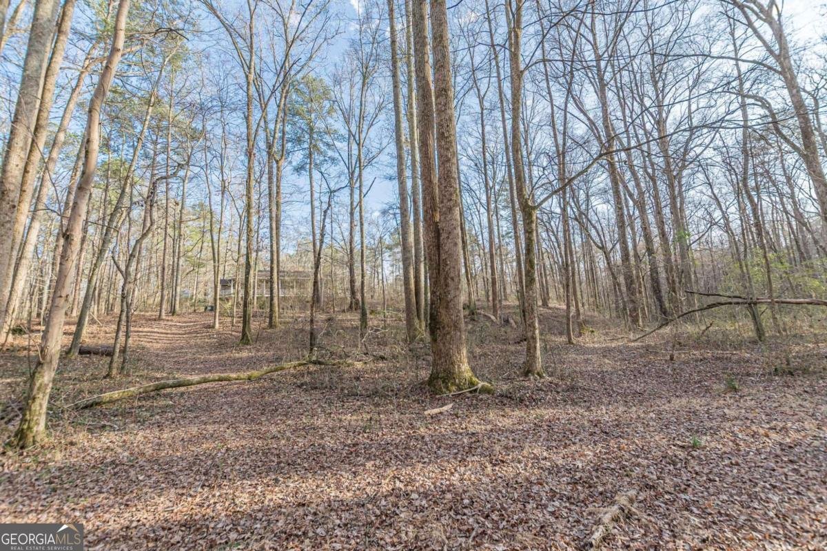 3300 Union Church Road Stockbridge - Photo 56