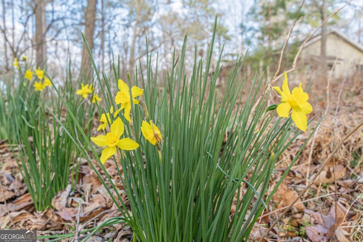 3300 Union Church Road Stockbridge - Photo 58