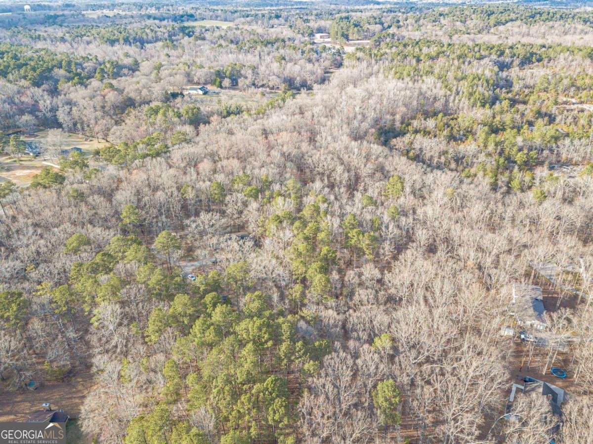 3300 Union Church Road Stockbridge - Photo 61