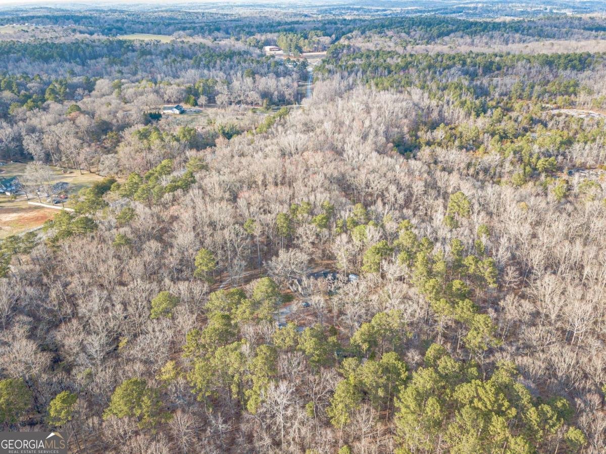 3300 Union Church Road Stockbridge - Photo 62