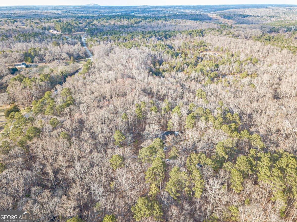 3300 Union Church Road Stockbridge - Photo 63