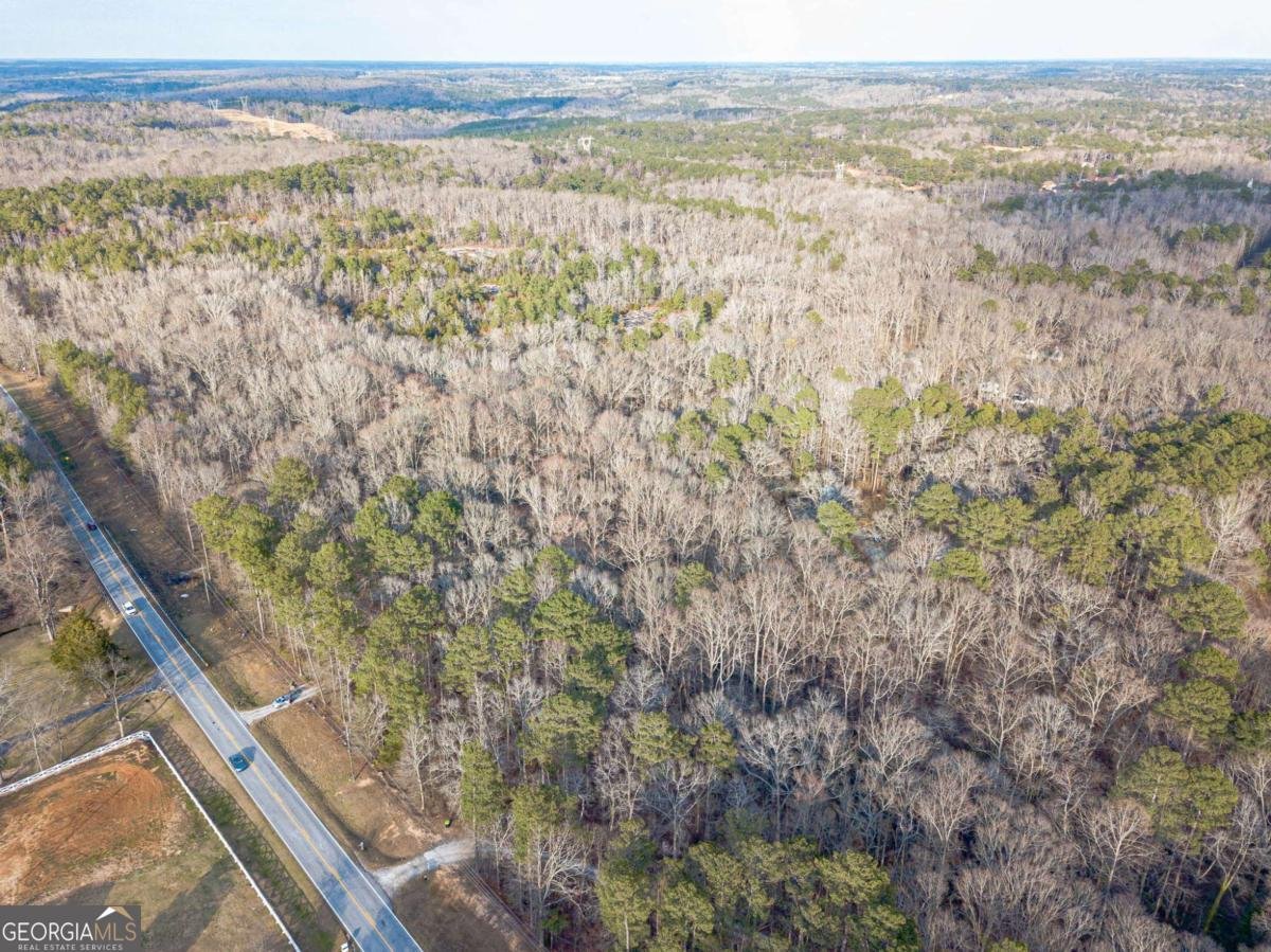 3300 Union Church Road Stockbridge - Photo 64