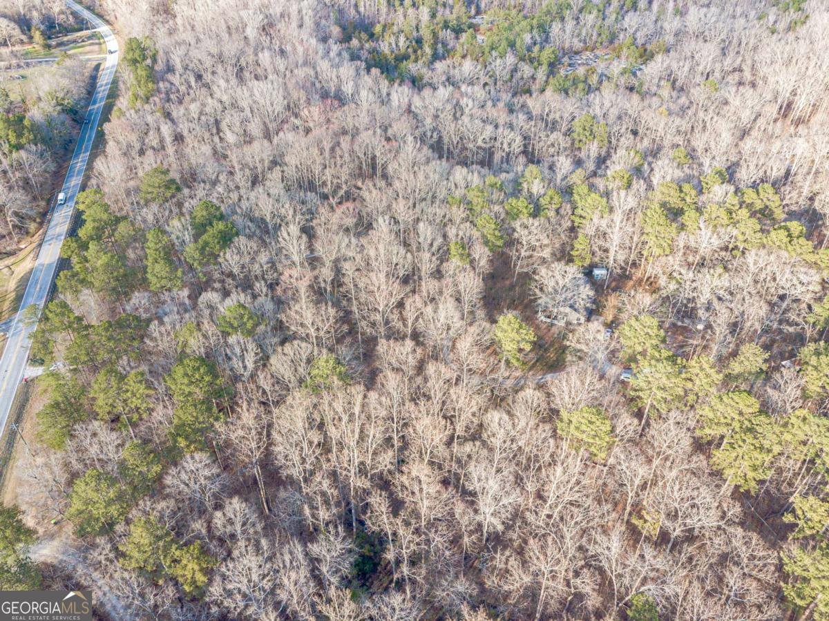 3300 Union Church Road Stockbridge - Photo 67