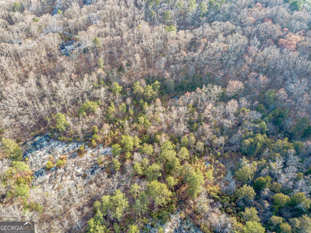 3300 Union Church Road Stockbridge - Photo 69