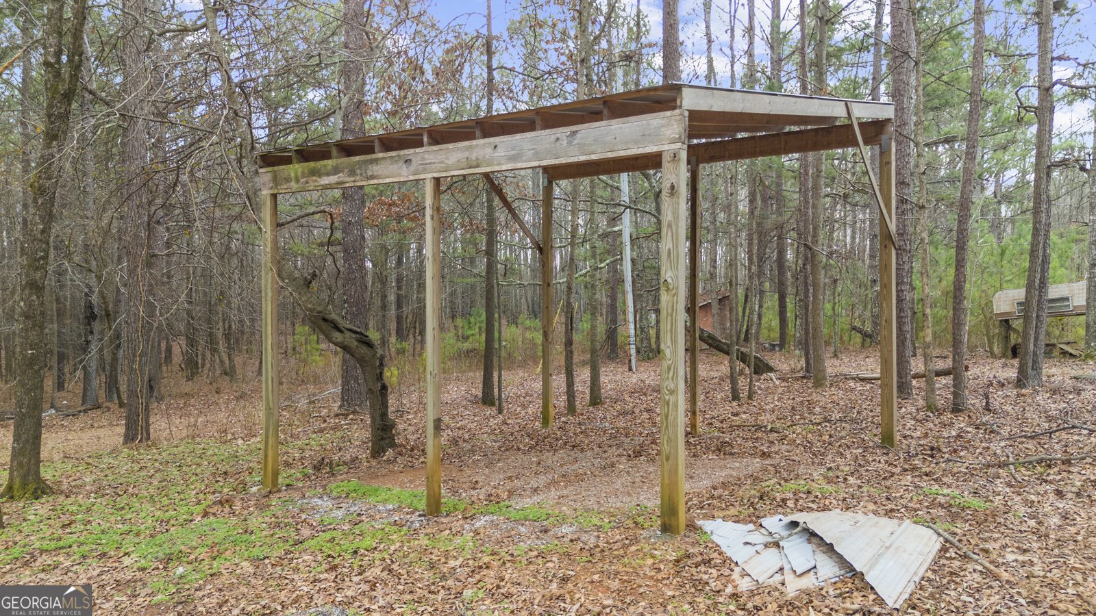 922 Linch Road Senoia - Photo 40