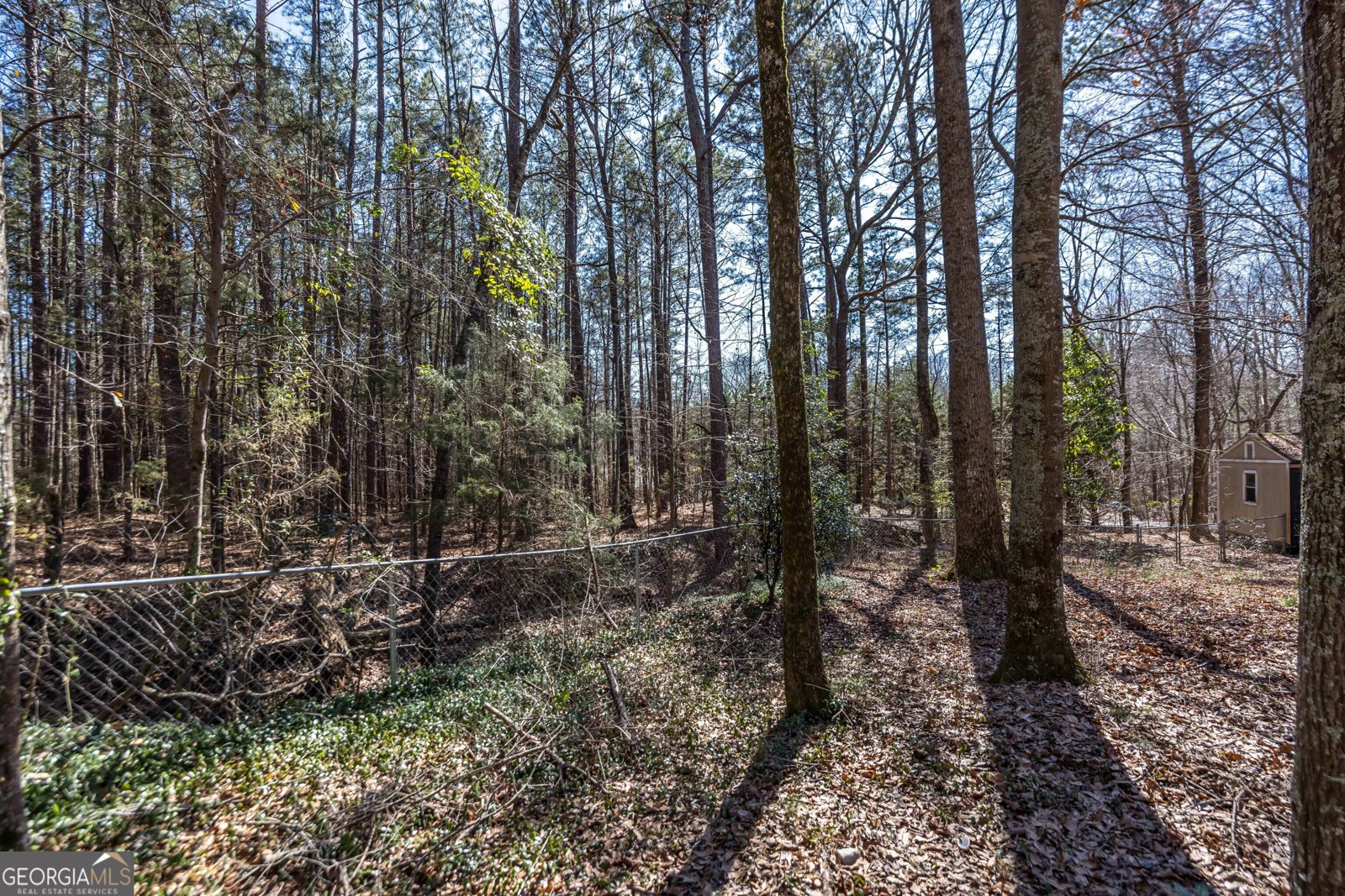 829 Thrash Road Lagrange - Photo 39