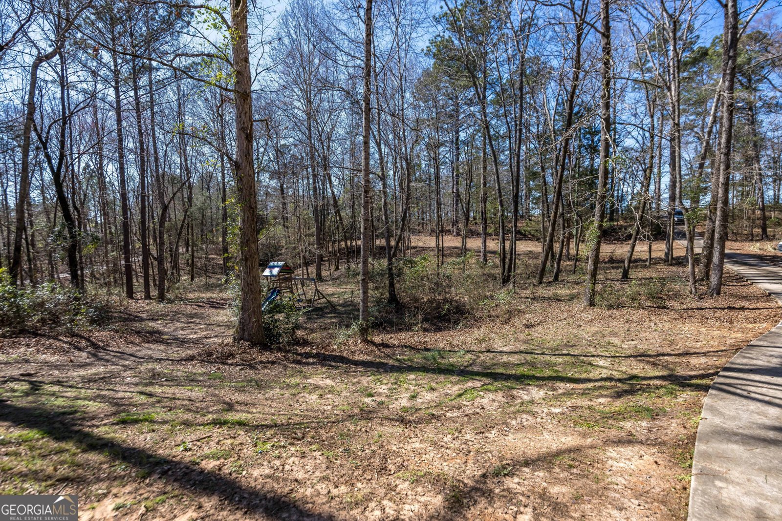 829 Thrash Road Lagrange - Photo 48