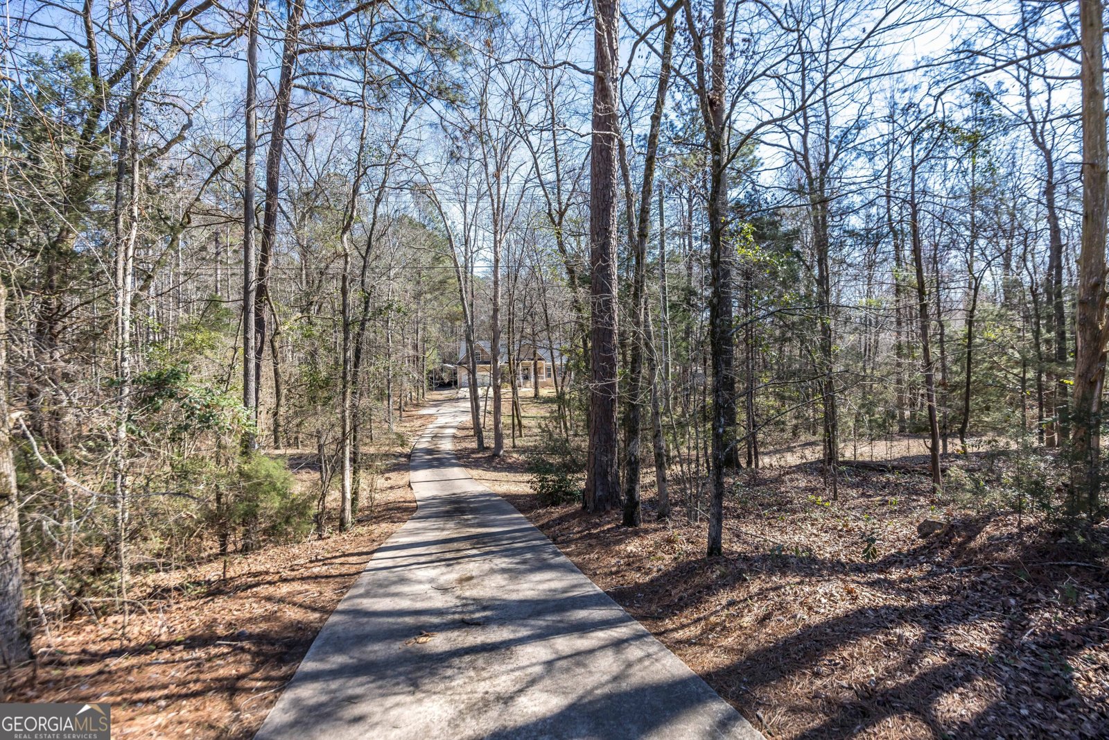 829 Thrash Road Lagrange - Photo 49