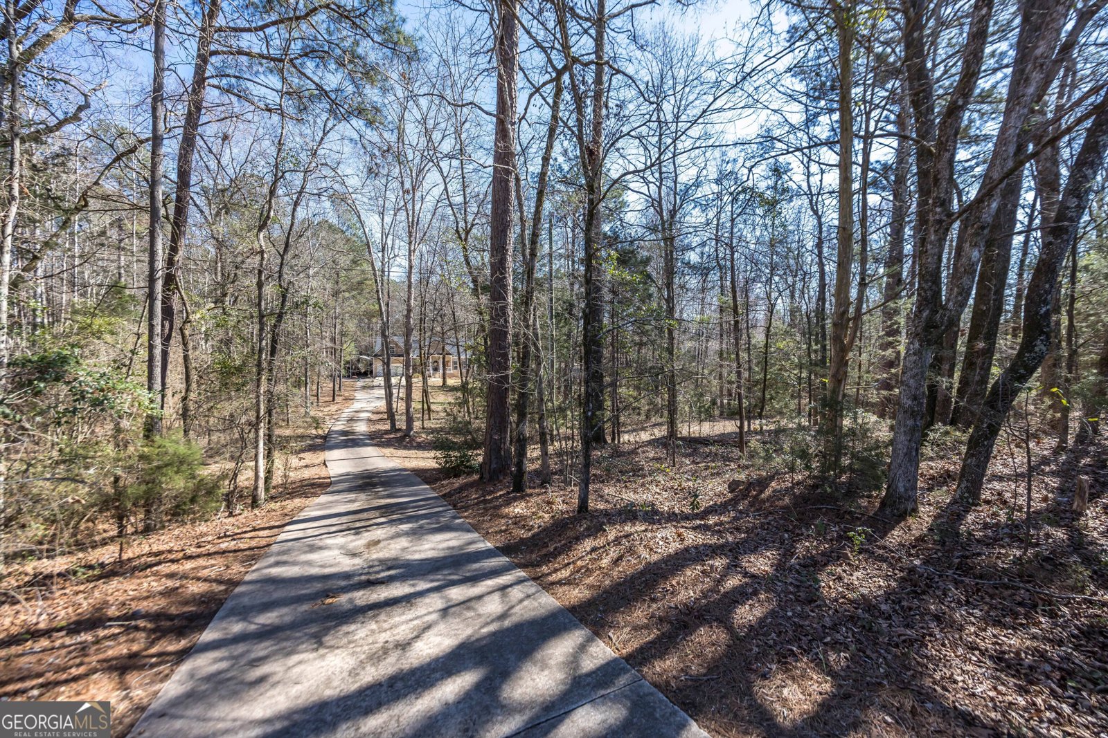 829 Thrash Road Lagrange - Photo 50