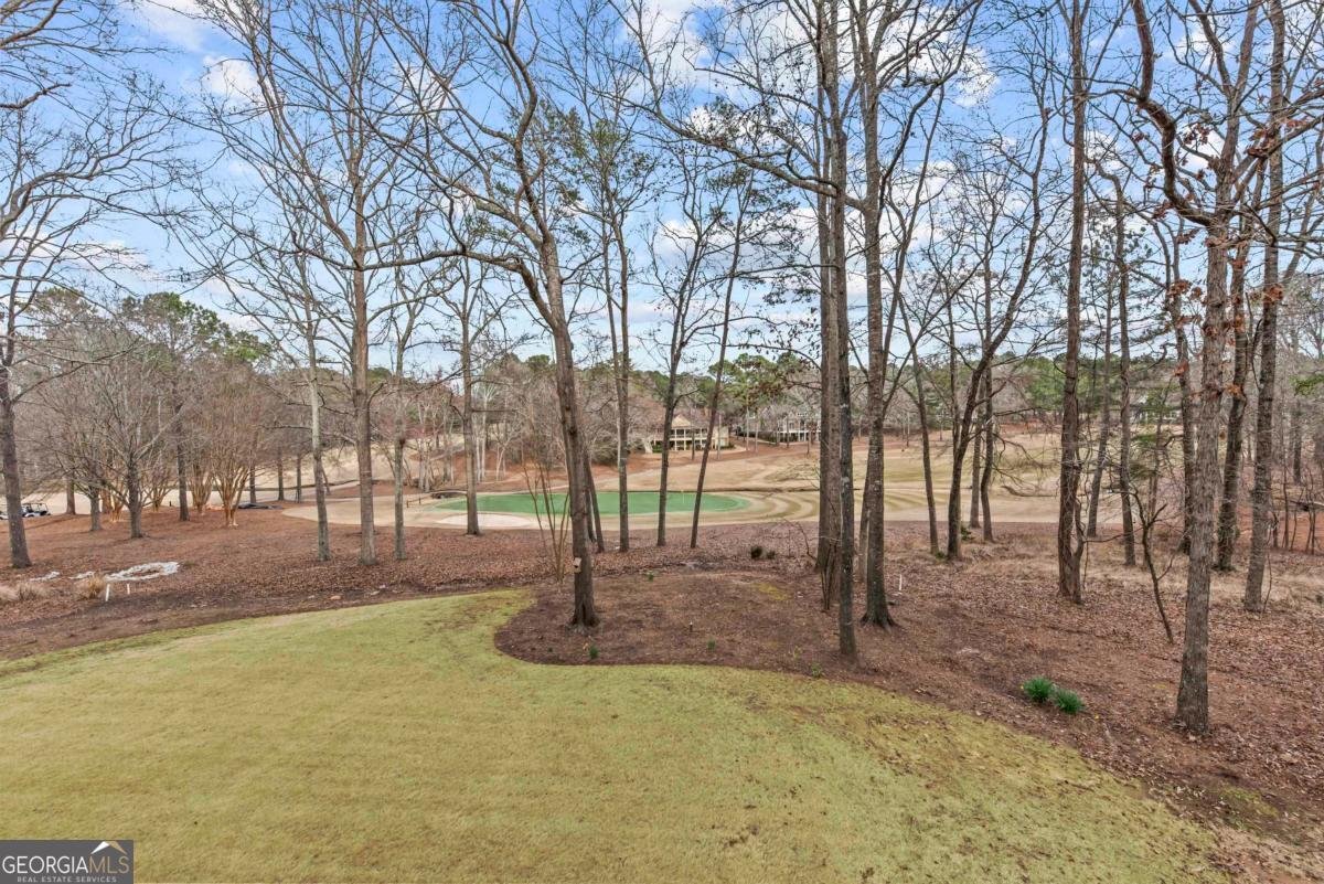 100 Greenwood Court Eatonton - Photo 45