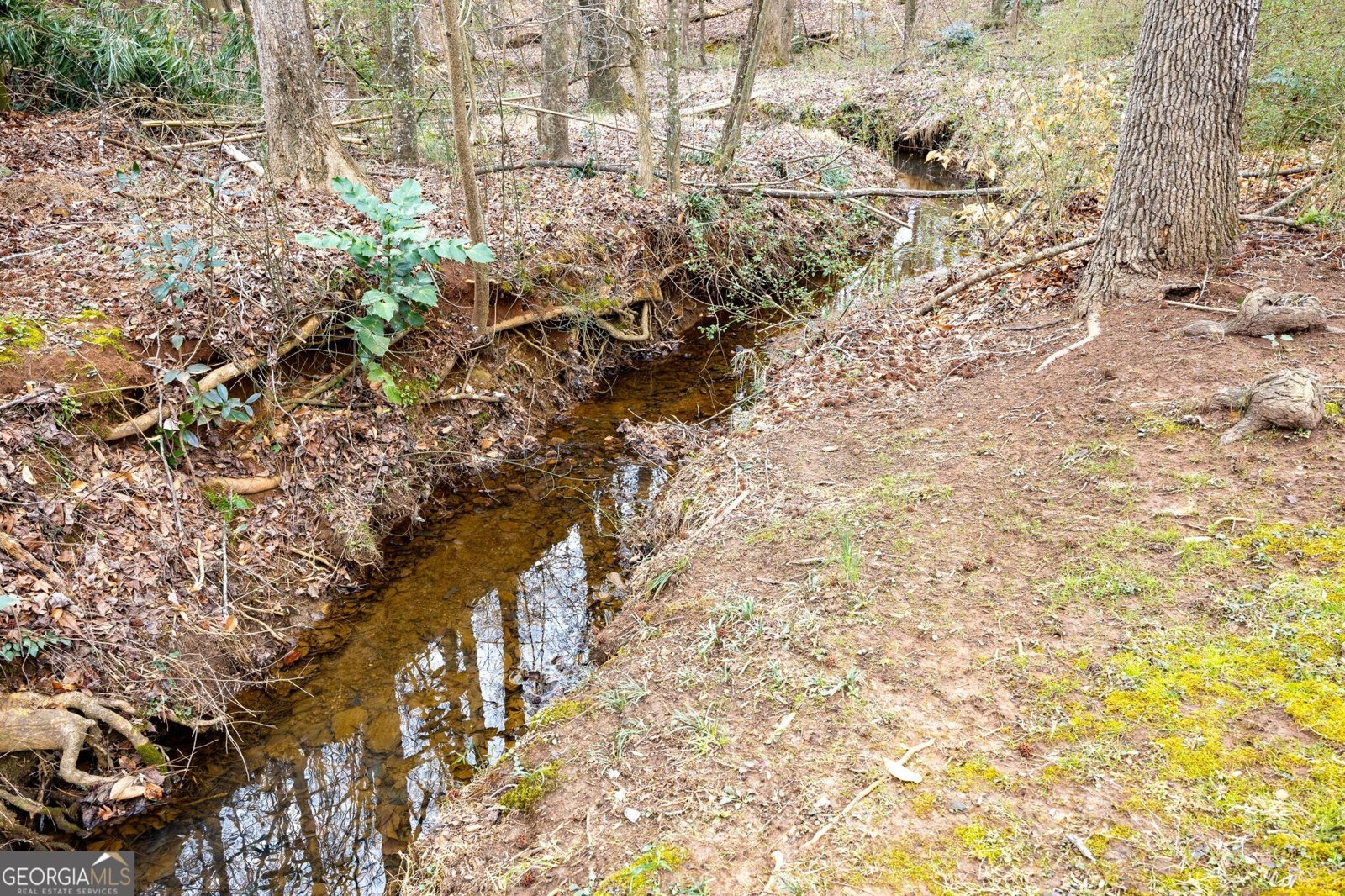 98 Sedgefield Overlook Dallas - Photo 48