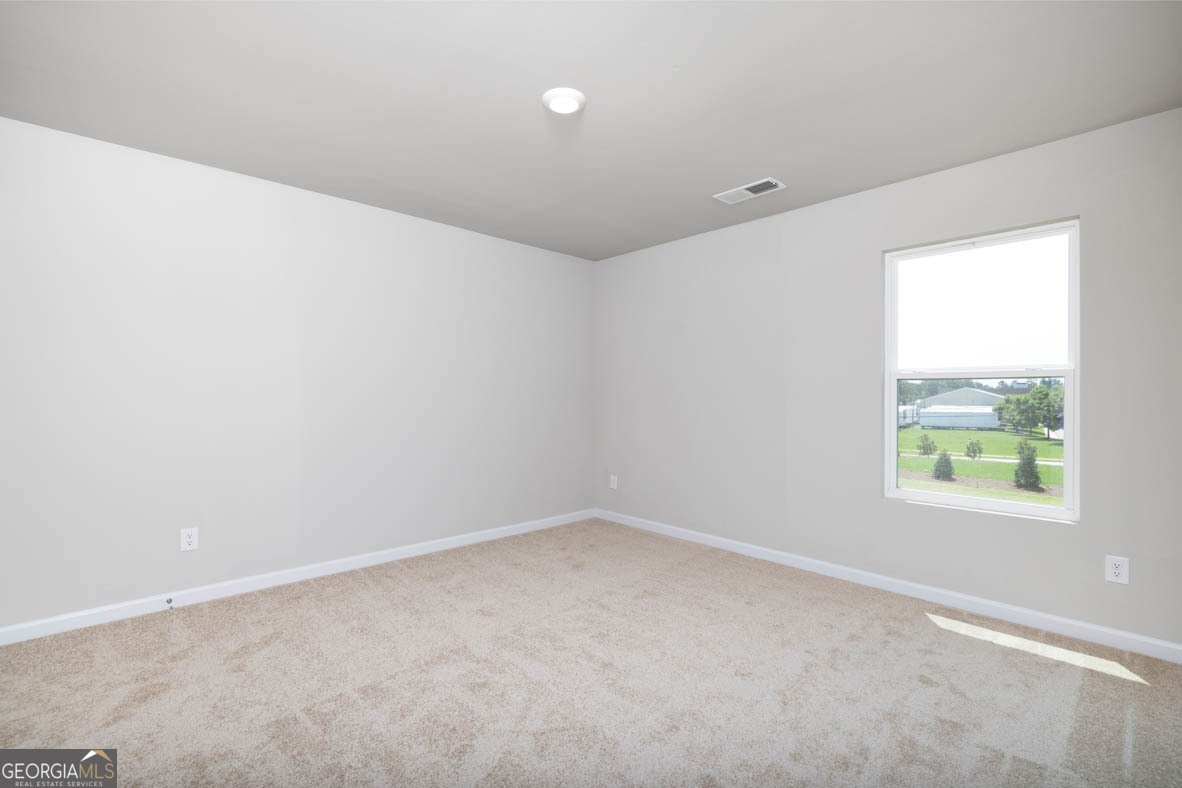 652 Whitman Lane Stockbridge - Photo 35