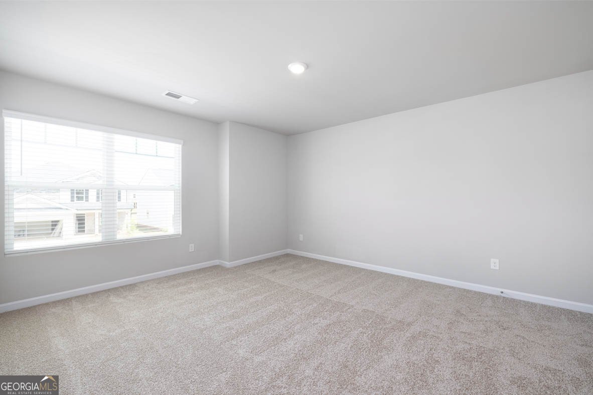 652 Whitman Lane Stockbridge - Photo 37