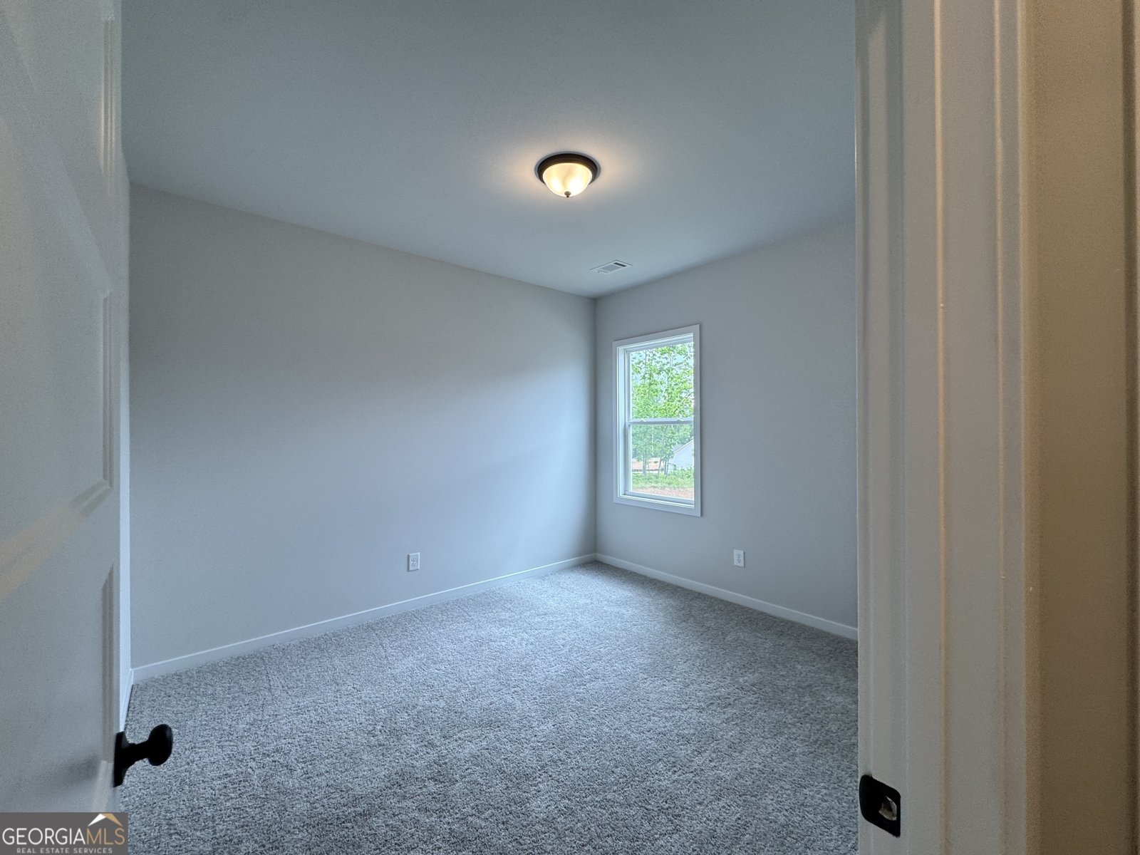 102 Rose Lake Court Hoschton - Photo 32