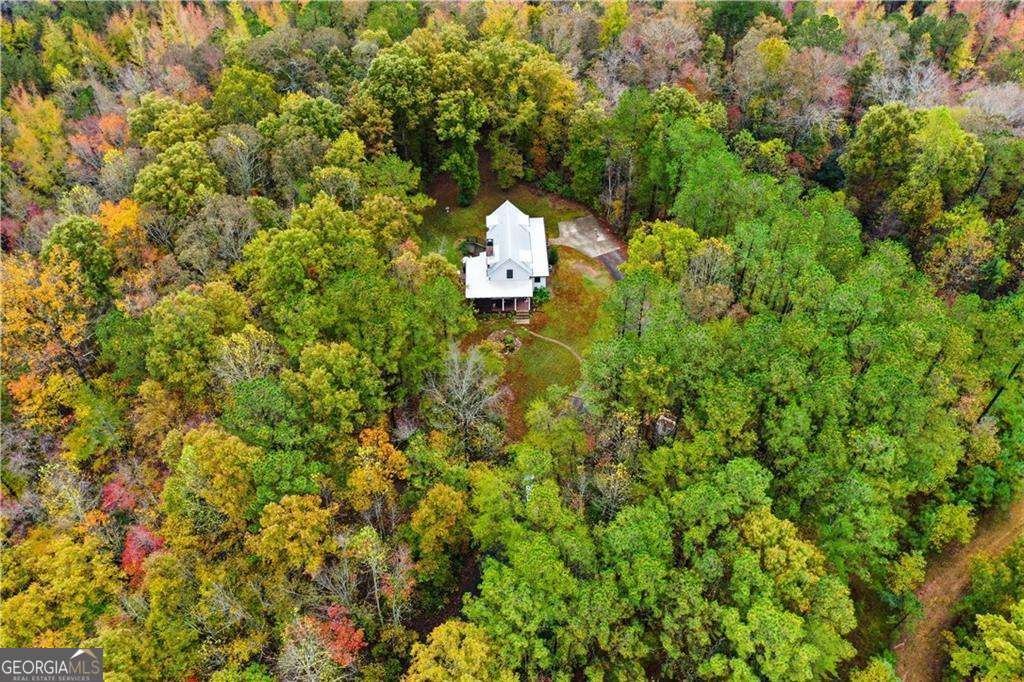 2197 Damascus Road Ball Ground - Photo 11