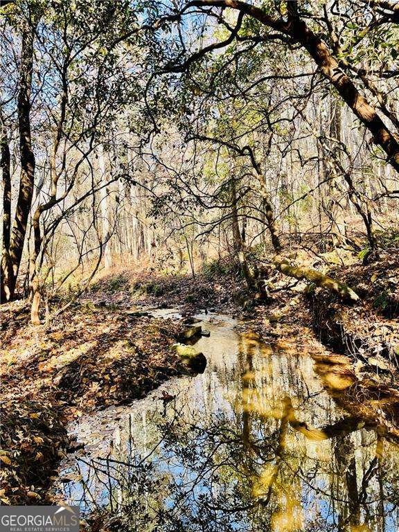 2197 Damascus Road Ball Ground - Photo 7