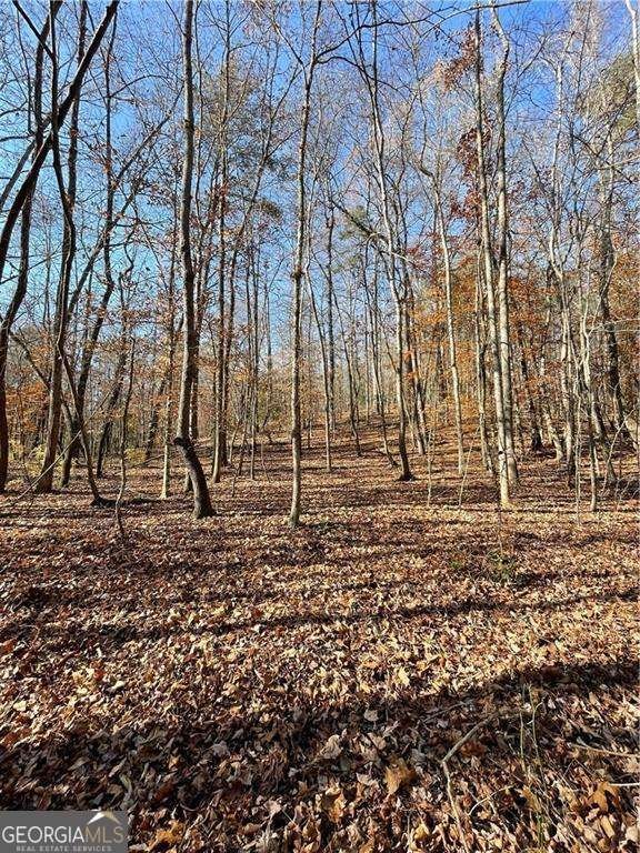 2197 Damascus Road Ball Ground - Photo 9