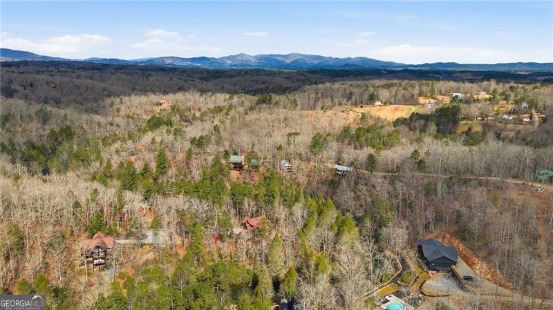 60 Chatham Lane Epworth - Photo 61