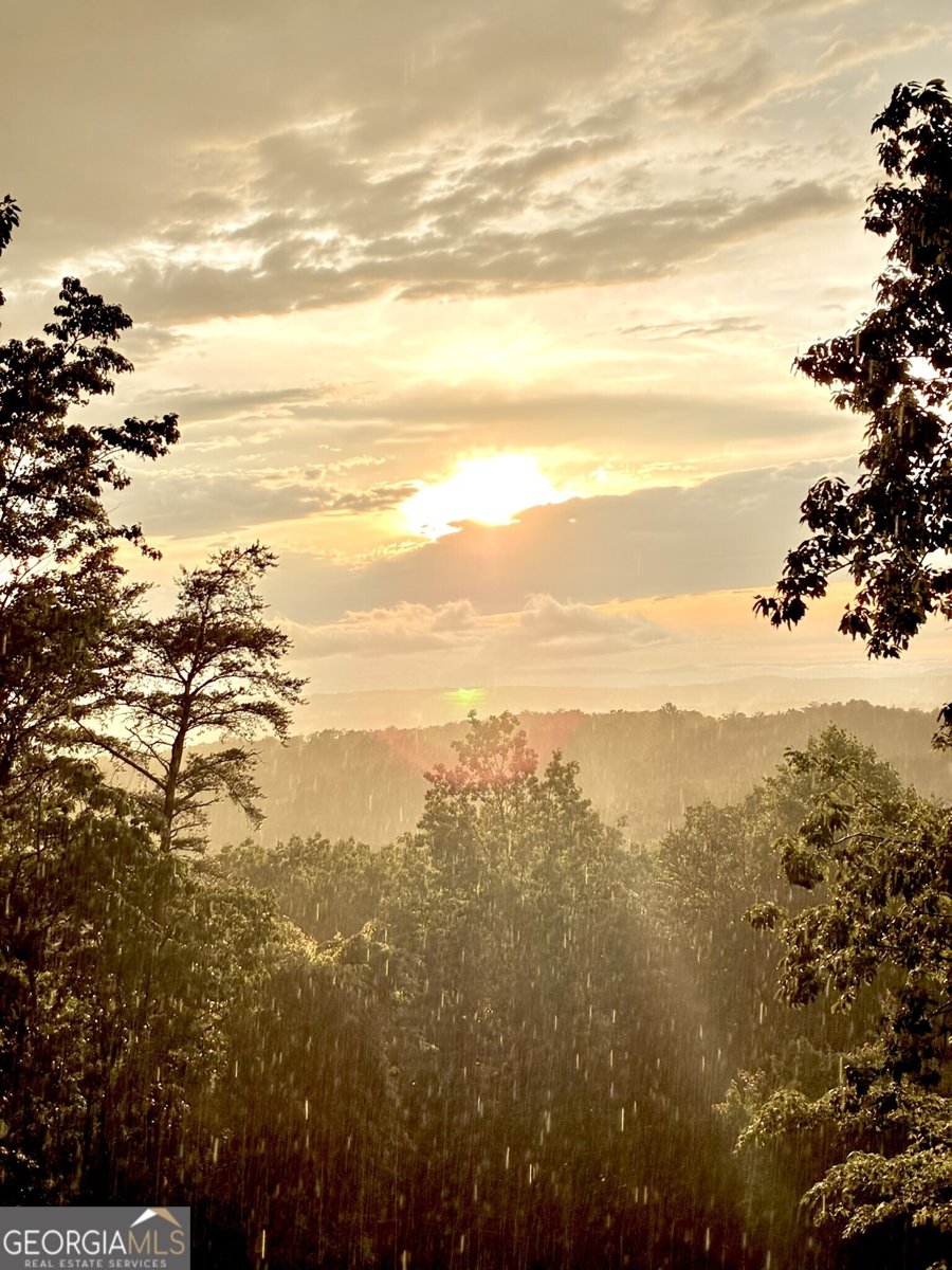 1688 Mulberry Circle Jasper - Photo 72