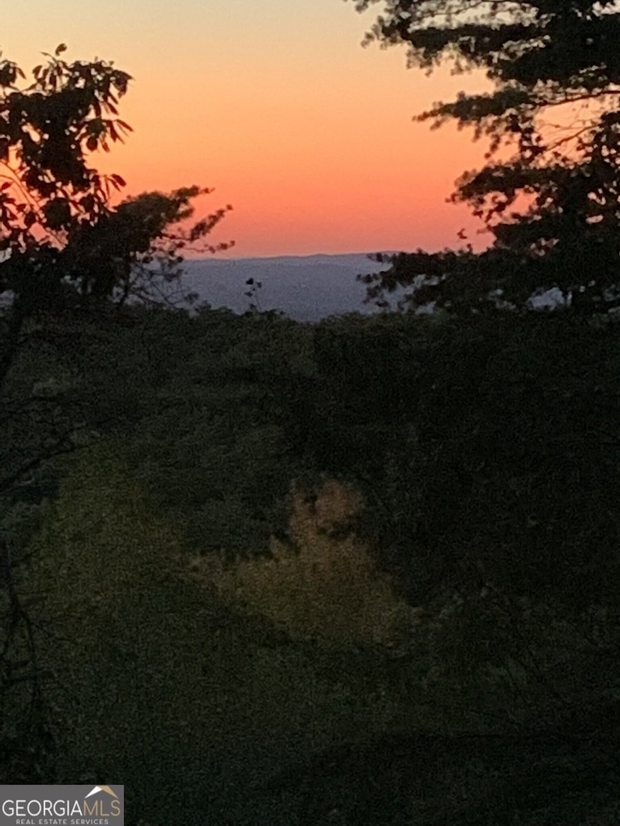 1688 Mulberry Circle Jasper - Photo 73