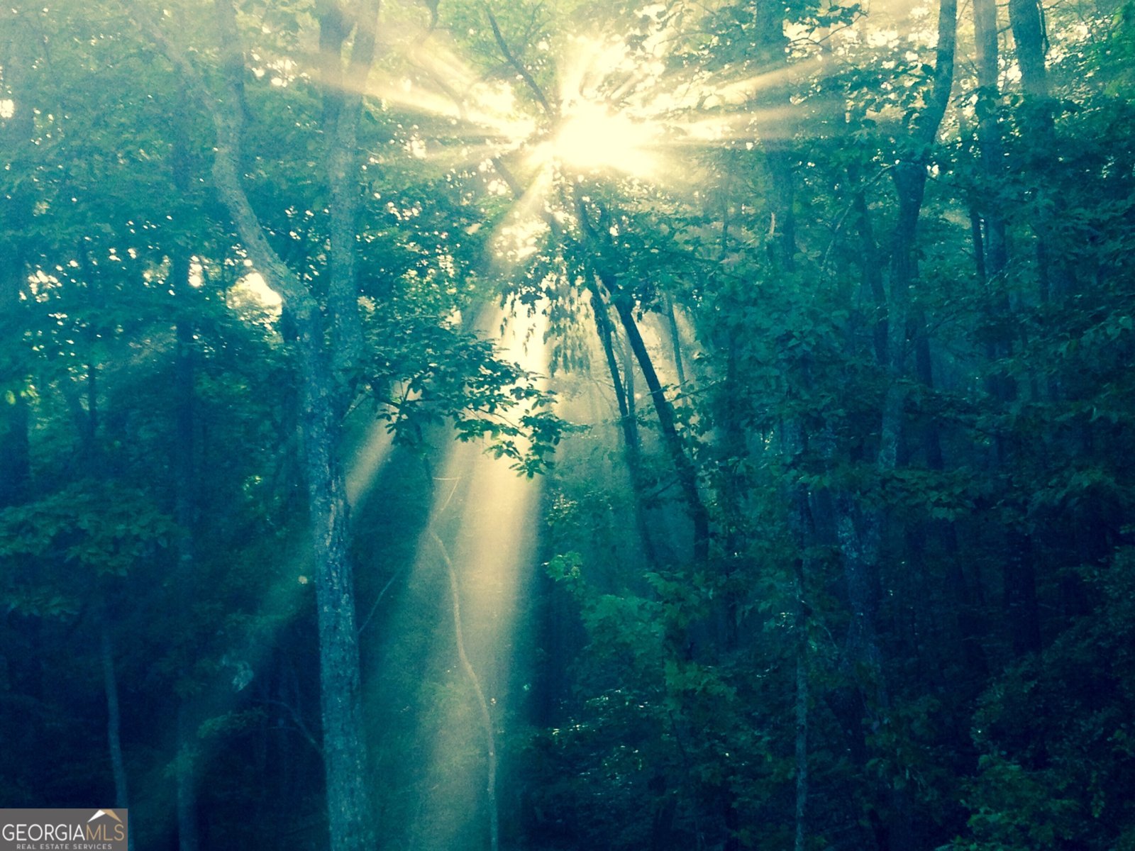 1688 Mulberry Circle Jasper - Photo 74