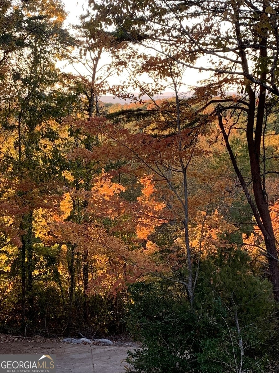 1688 Mulberry Circle Jasper - Photo 75