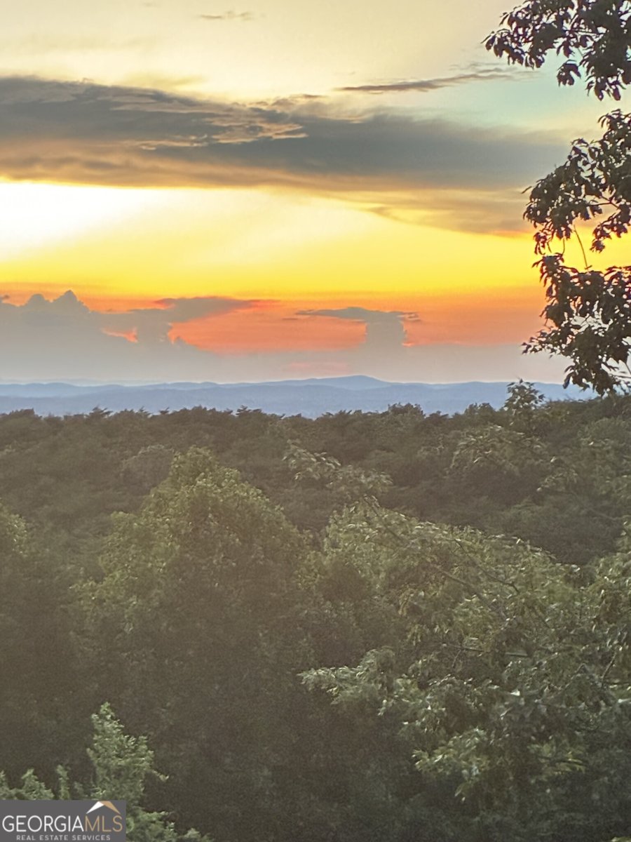 1688 Mulberry Circle Jasper - Photo 78