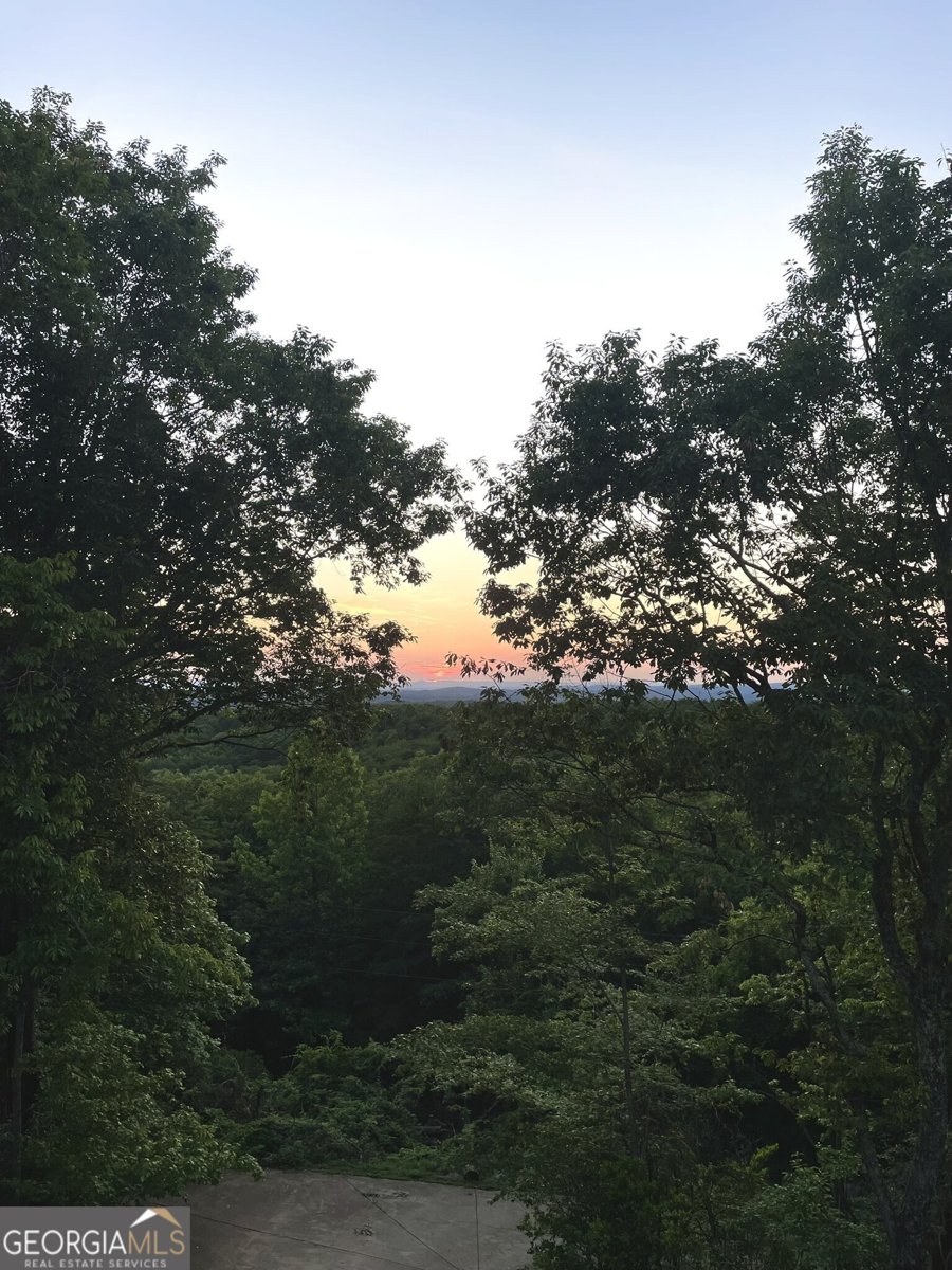 1688 Mulberry Circle Jasper - Photo 79