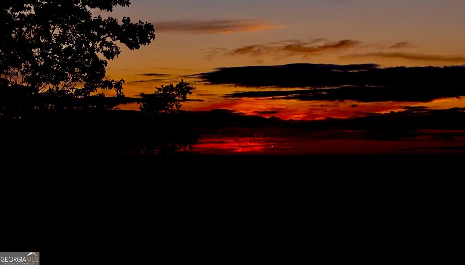 1688 Mulberry Circle Jasper - Photo 81