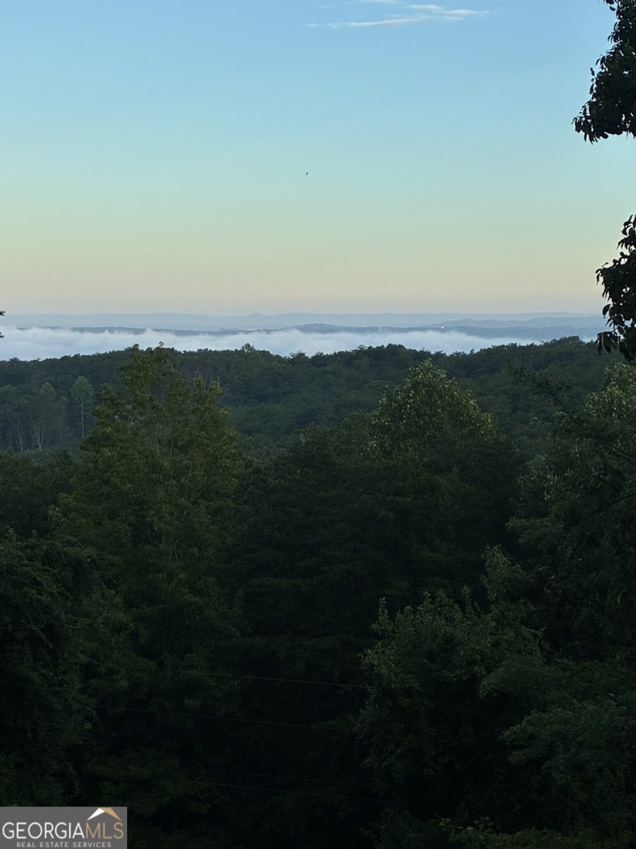 1688 Mulberry Circle Jasper - Photo 83